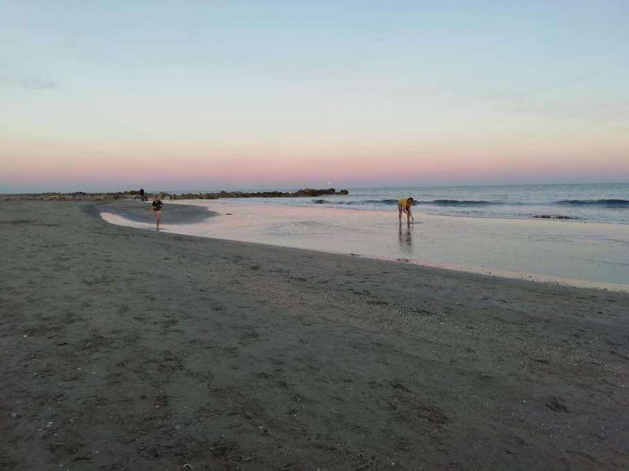 Appart 5P Terrasse Sud Vue Mer, Acces Direct Plage Фронтиньян Экстерьер фото